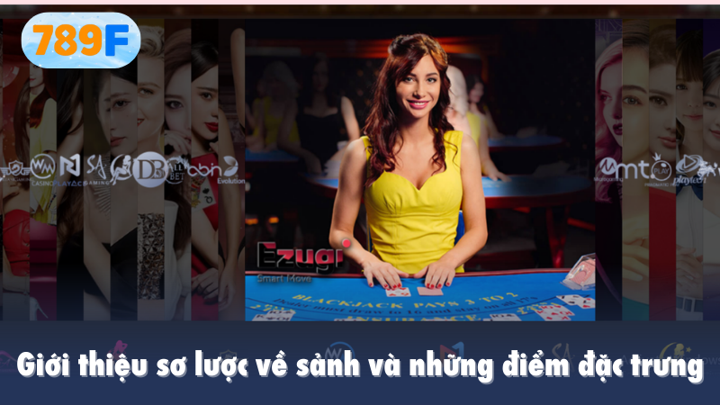 Giới thiệu sơ lược về sảnh và những điểm đặc trưng