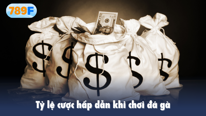 Tỷ lệ cược hấp dẫn khi chơi đá gà